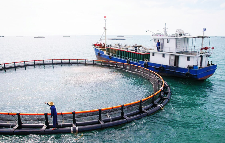 江海河流解决方案