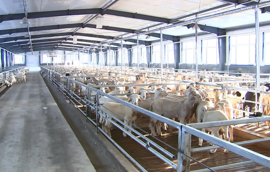 畜牧养殖解决方案